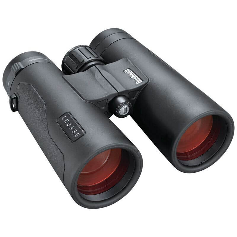 Bushnell Engage EDX 8x42 Roof Prism Binoculars (BEN842)