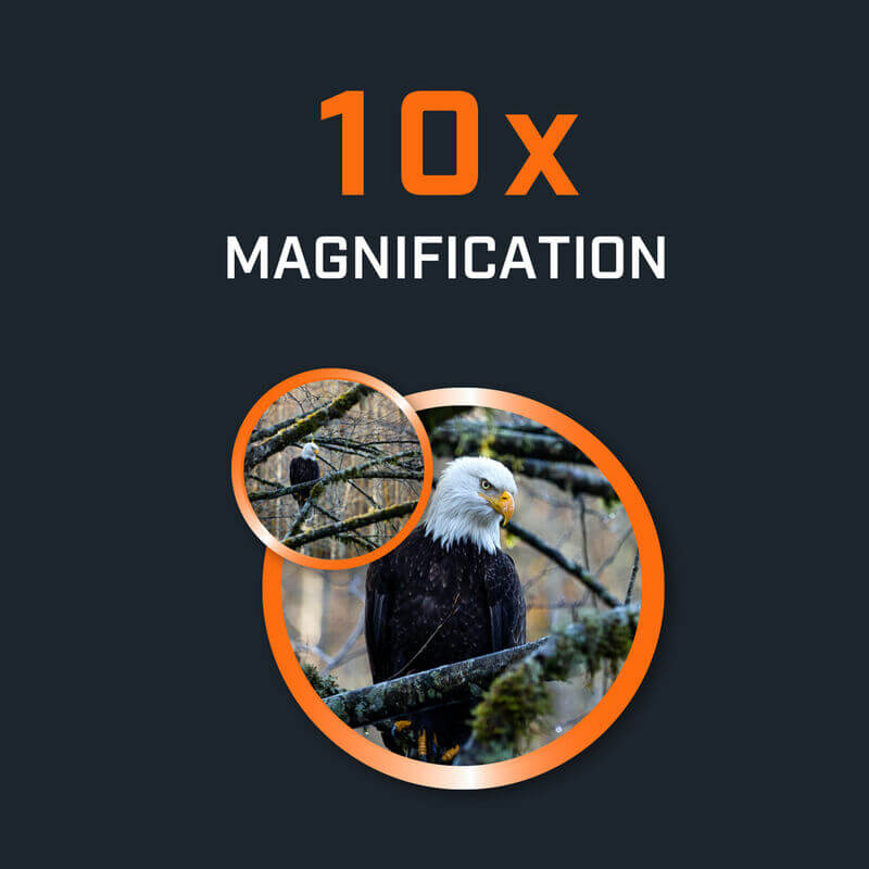 Bushnell H2O™ 10x25 Waterproof Binoculars (130105R)