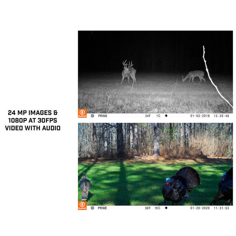 Bushnell Prime Low Glow Trail Camera (119932M)