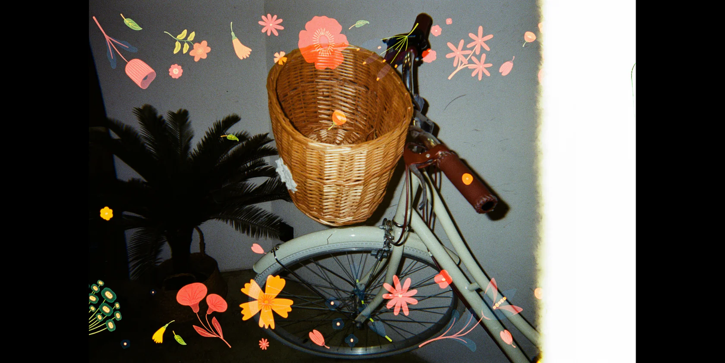 Retocolor Blossom 400 35mm Disposable Film Camera with 27 exposures