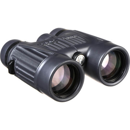 Bushnell H2O™ 10x42 Waterproof Roof Prism Binoculars (150142)