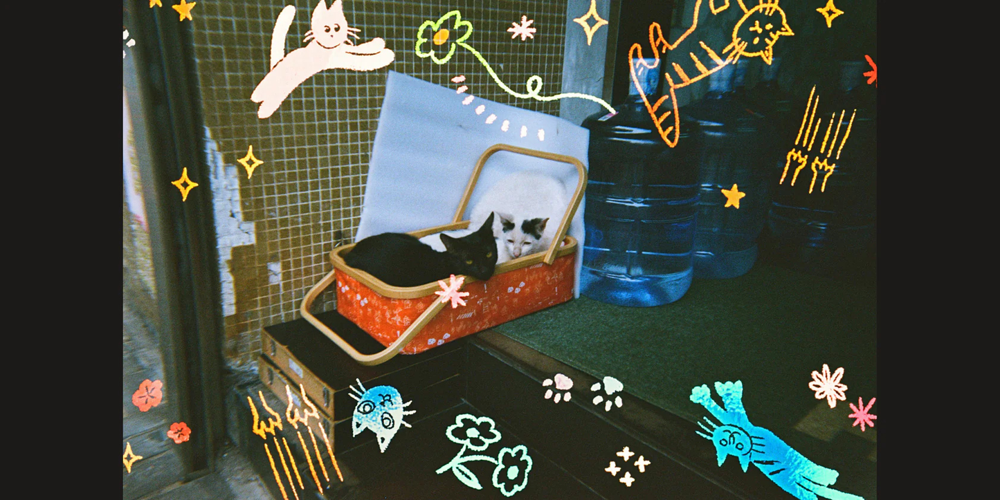 Reto Retocolor Cat'cha 35mm Disposable Film Camera with 27 exposures