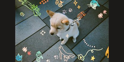 Reto Retocolor Cat'cha 35mm Disposable Film Camera with 27 exposures